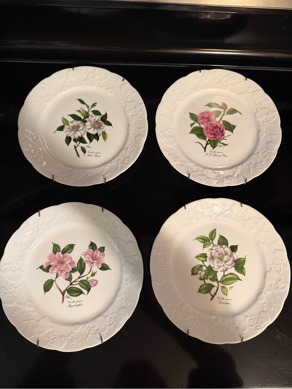 Lierre Sauvage of France Floral Porcelain plates Botanical Design